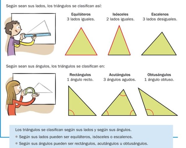 Triángulo escaleno isósceles y equilátero Matemáticas para niños