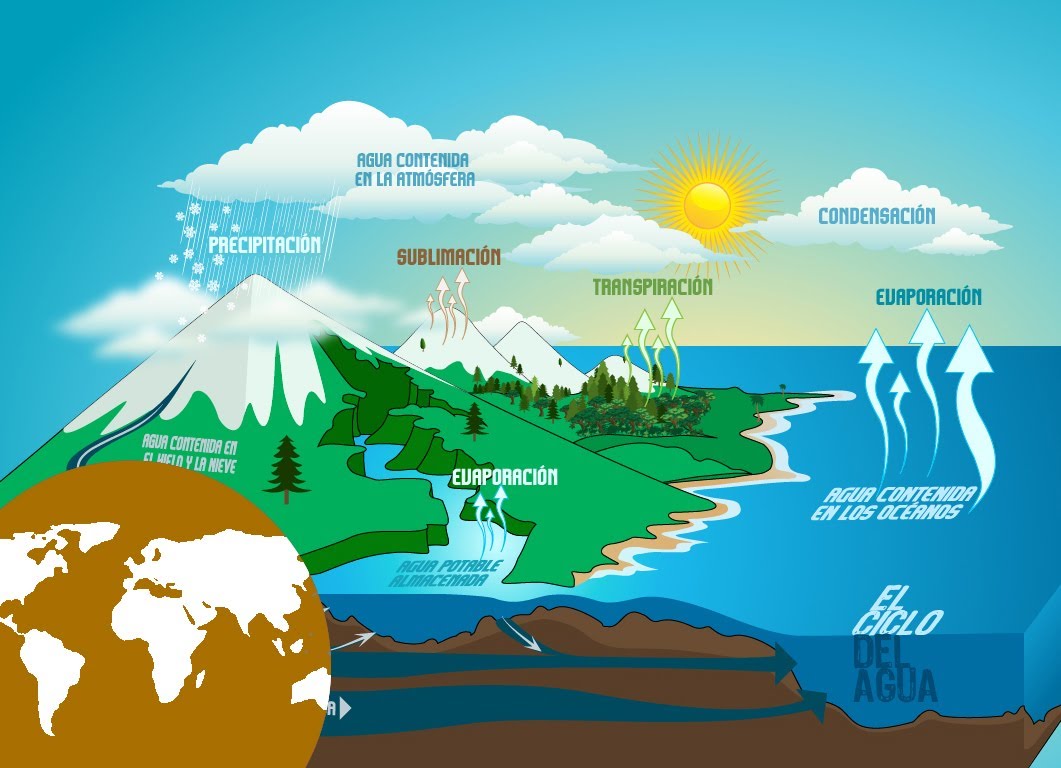 El Ciclo Del Agua Para Niños Fases Infografias Información Imágenes