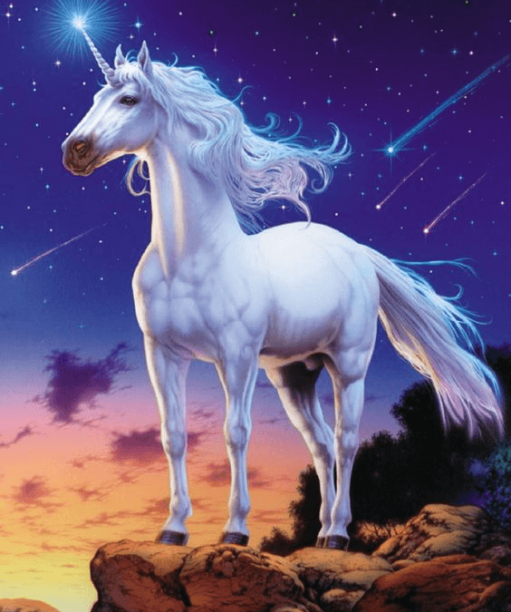 6-. Bestiario 12-unicornio-criatura-amor-puro-blog-esoterico-564x675