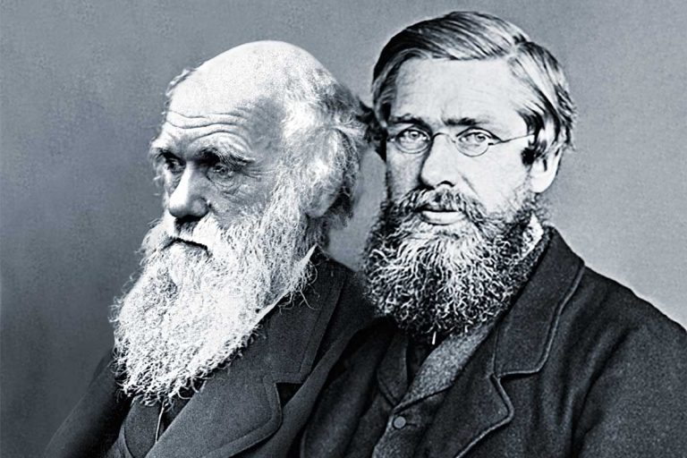 La Biografia De Charles Darwin (Resumen Para Niños) | Educación Para Niños