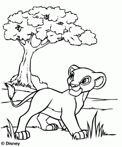 Dibujo de Simba en la Sabana para colorear — gratis en PDF