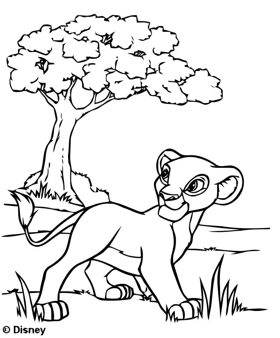Dibujo de Simba en la Sabana para colorear — gratis en PDF